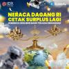 Neraca Dagang RI Cetak Surplus Lagi, Kemenkeu: Resiliensi Masih Terjaga dengan Baik