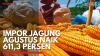 Impor Jagung Agustus Naik 611,3 Persen,(Sumber: IDX CHANNEL)