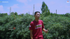 Kisah Sukses Petani Muda: Usia 23 tahun Mampu Beli Lahan, Manfaatkan TikTok untuk Jual Bibit. (Foto: YouTube/Cap Capung)