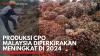 Produksi CPO Malaysia Diperkirakan Meningkat di 2024. (Sumber : IDXChannel)