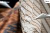Ketahui Lima Jenis Motif Batik Ini, Ada Maknanya Lho (Foto: MNC Media)