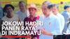 Jokowi Hadiri Panen Raya di Indramayu. (Sumber : IDXChannel)