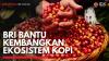 BRI Bantu Kembangkan Ekosistem Kopi,(Sumber: IDX CHANNEL)