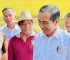 Tinjau Panen Raya di Indramayu, Jokowi Pastikan Produksi Beras Nasional Aman. Foto: Biro Setpres.
