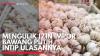 Mengulik Izin Impor Bawang Putih, Intip Ulasannya. (Sumber : IDXChannel)
