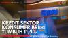 Kredit Sektor Konsumer BRI Tumbuh 11,5%,(Sumber: IDX CHANNEL)