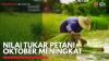 Nilai Tukar Petani Oktober Meningkat,(Sumber: IDX CHANNEL)