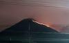 Gunung Penanggungan yang berada di wilayah Kabupaten Mojokerto, Jawa Timur, terbakar. (Avirista M/MPI)