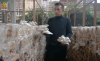 Raup Omzet Rp30 Juta per Bulan, Petani Milenial Sukses Budidaya Jamur Tiram. (Foto: YouTube/SeribuMimpi)