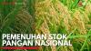 Pemenuhan Stok Pangan Nasional. (Sumber : IDXChannel)