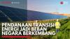 Pendanaan Transisi Energi Jadi Beban Negara Berkembang. (Sumber : IDXChannel)