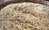 Harga kedelai terus melonjak. Hal ini berdampak pada produsen keripik tempe di Kabupaten Jombang, Jawa Timur. (Foto: Mukhtar Bagus/MPI)