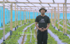 Kisah Sukses Petani Milenial Berhasil Raup Omzet Ratusan Juta dari Stroberi Organik. (Foto: YouTube/CapCapung)