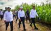 Antisipasi Krisis Pangan, Mentan Sediakan 10 Ribu Hektare Lahan Pertanian di Merauke. (Foto: MNC Media)