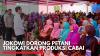Jokowi Dorong Petani Tingkatkan Produksi Cabai,(Sumber: IDX CHANNEL)