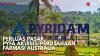 Perluas Pasar, PYFA Akuisisi Perusahaan Farmasi Australia,(Sumber: IDX CHANNEL)