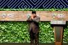 Prabowo di Forum APEC Minta Pemimpin Dunia Lebih Bijak Hadapi Persaingan Antarnegara. (Foto :  Biro Pers Sekretariat Presiden)
