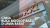 CNMA Buka Bioskop Baru di Jawa Barat,(Sumber: IDX CHANNEL)