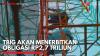 TBIG akan Menerbitkan Obligasi Rp2,7 Triliun,(Sumber: IDX CHANNEL)