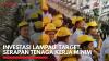 Investasi Lampaui Target, Serapan Tenaga Kerja Minim,(Sumber: IDX CHANNEL)