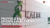 Proyeksi Rasio Dividen Kalbe Farma Tahun Buku 2023. (Sumber : IDXChannel)