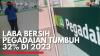 Laba Bersih Pegadaian Tumbuh 32% di 2023. (Sumber : IDXChannel)
