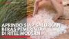 Aprindo Siap Salurkan Beras Pemerintah di Ritel Modern. (Sumber : IDXChannel)
