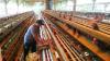 Beras Masih Mahal, Kini Giliran Harga Telur Ayam Menjulang Jelang Ramadan (Foto Avirista)