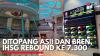 Ditopang ASII dan BREN, IHSG Rebound ke 7.300. (Sumber : IDXChannel)
