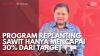 Program Replanting Sawit Hanya Mencapai 30% dari Target. (Sumber : IDXChannel)
