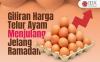 Kini Giliran Harga Telur Ayam Menjulang Jelang Ramadan
