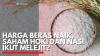 Harga Beras Naik, Saham HOKI dan NASI Ikut Melejit? (Sumber : IDXChannel)