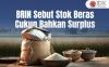 BRIN Sebut Stok Beras Ternyata Cukup Bahkan Surplus, Ini Penjelasan Lengkapnya