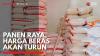 Panen Raya, Harga Beras akan Turun,(Sumber: IDX CHANNEL)