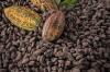 Harga Kakao Dunia Tembus Rp158 Juta per Ton, Produksi Indonesia Malah Loyo. (Foto: Freepik)
