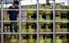 Pastikan Isi Gas LPG Sesuai Takaran, Pertamina Jalin Kolaborasi dengan Kemendag (foto: MNC media)