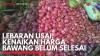 Lebaran Usai, Kenaikan Harga Bawang Belum Selesai. (Sumber : IDX Channel)