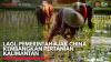 Lagi, Pemerintah Ajak China Kembangkan Pertanian Kalimantan,(Sumber: IDX CHANNEL)