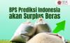 BPS Prediksi Indonesia akan Surplus Beras, Ini Tanggapan Pengamat