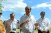 Jokowi Akui Harga di Tingkat Petani Sering Tak Stabil Jelang Panen Raya. Foto: MNC Media.