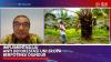 Implementasi UU Anti Deforestasi Uni Eropa Berpotensi Diundur,(Sumber: IDX CHANNEL)