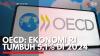 OECD: Ekonomi RI Tumbuh 5,1% di 2024. (Sumber : IDX Channel)