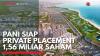 PANI Siap Private Placement 1,56 Miliar Saham,(Sumber: IDX CHANNEL)