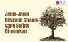 Apa Saja Jenis-jenis Revenue Stream yang Sering Ditemukan saat Berbisnis?