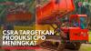 CSRA Targetkan CPO Meningkat,(Sumber: IDX CHANNEL