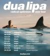 Dua Lipa Siap Gelar Konser di Jakarta pada November 2024 (FOTO:Dok IG Dua Lipa)