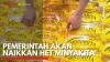 Pemerintah Akan Naikkan HET Minyakita. (Sumber : IDX Channel)