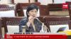 DPR Segera Sahkan Destry Damayanti Jadi Deputi Gubernur Senior BI 2024-2029. (Foto Tangkapan Layar YouTube Komisi XI DPR RI)