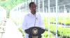 Jokowi Minta Riset Lanjutan Tanaman Kratom untuk Pastikan Aman Bagi Masyarakat. (Foto: MNC Media)
