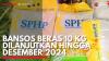 Bansos Beras 10 Kg Dilanjutkan Hingga Desember 2024. (Sumber : IDX Channel)